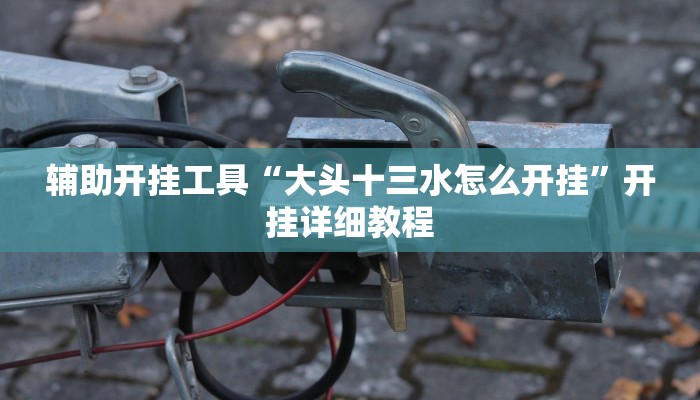 辅助开挂工具“大头十三水怎么开挂”开挂详细教程