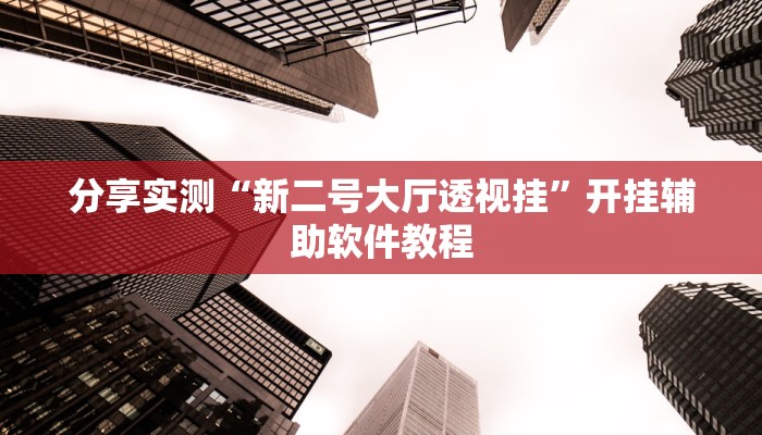 分享实测“新二号大厅透视挂”开挂辅助软件教程