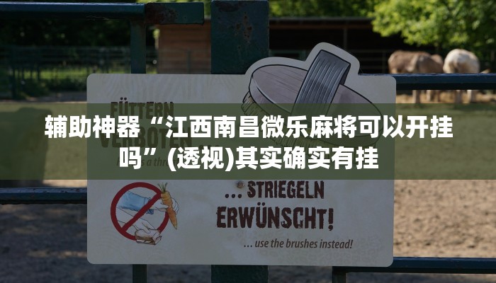 辅助神器“江西南昌微乐麻将可以开挂吗”(透视)其实确实有挂