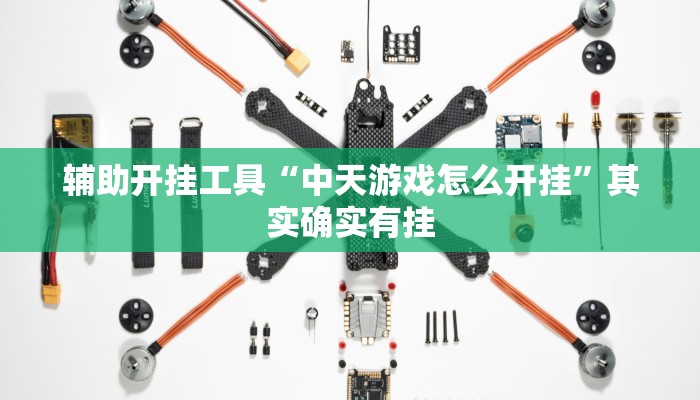 辅助开挂工具“中天游戏怎么开挂”其实确实有挂