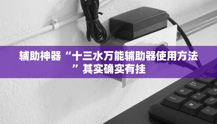辅助神器“十三水万能辅助器使用方法”其实确实有挂