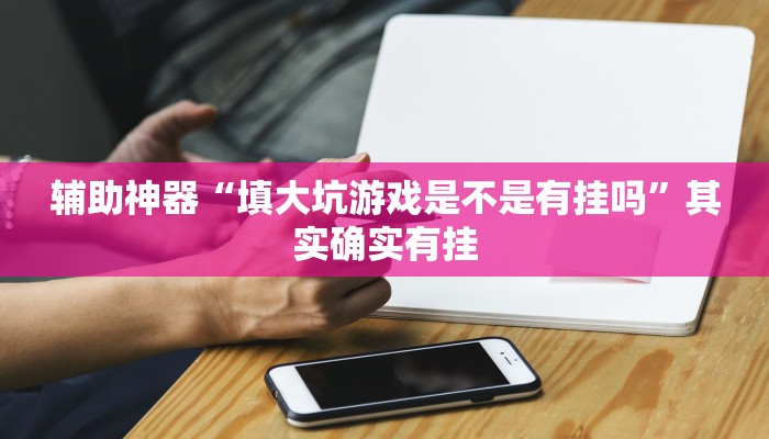 辅助神器“填大坑游戏是不是有挂吗”其实确实有挂