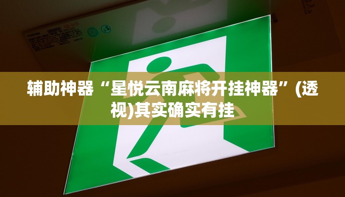 辅助神器“星悦云南麻将开挂神器”(透视)其实确实有挂