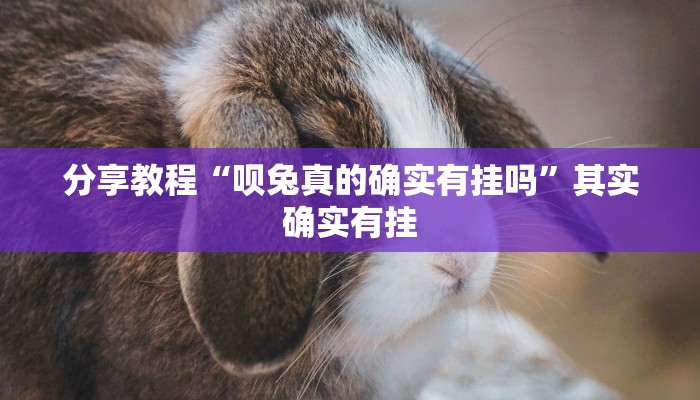 分享教程“呗兔真的确实有挂吗”其实确实有挂