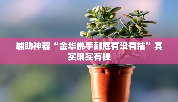 辅助神器“金华佛手到底有没有挂”其实确实有挂