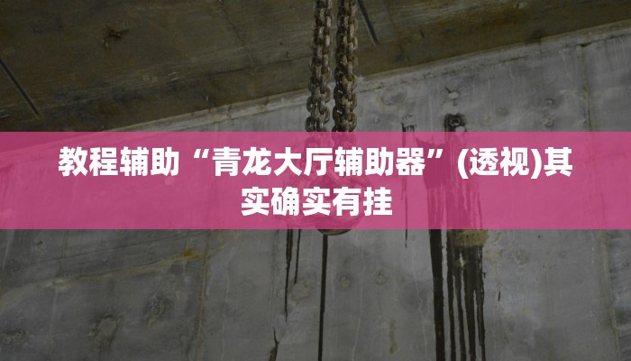 教程辅助“青龙大厅辅助器”(透视)其实确实有挂