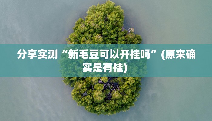 分享实测“新毛豆可以开挂吗”(原来确实是有挂) 