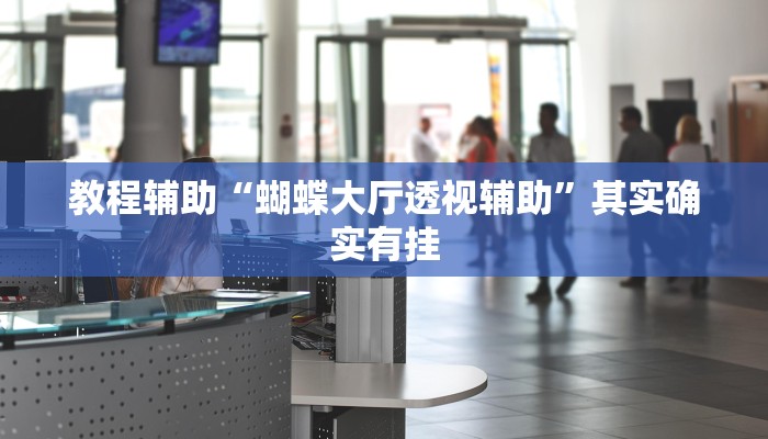 教程辅助“蝴蝶大厅透视辅助”其实确实有挂