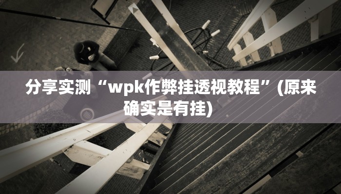 分享实测“wpk作弊挂透视教程”(原来确实是有挂) 
