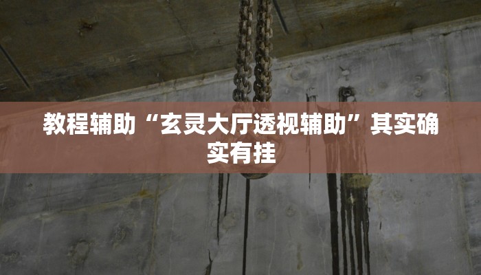 教程辅助“玄灵大厅透视辅助”其实确实有挂