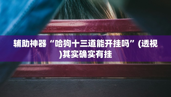 辅助神器“哈狗十三道能开挂吗”(透视)其实确实有挂