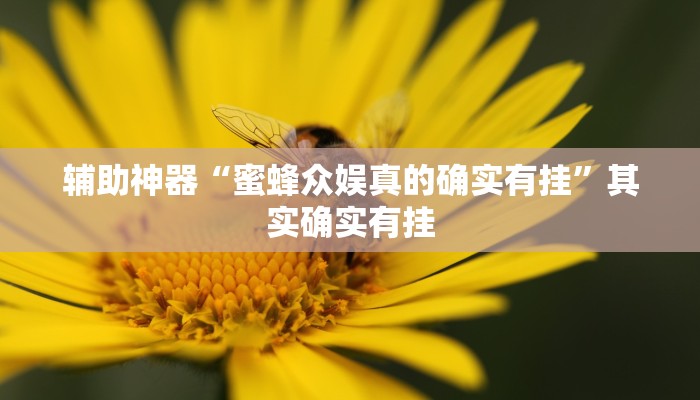 辅助神器“蜜蜂众娱真的确实有挂”其实确实有挂
