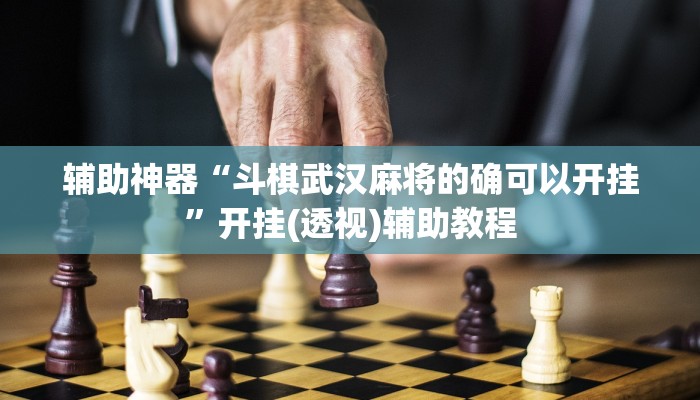 辅助神器“斗棋武汉麻将的确可以开挂”开挂(透视)辅助教程