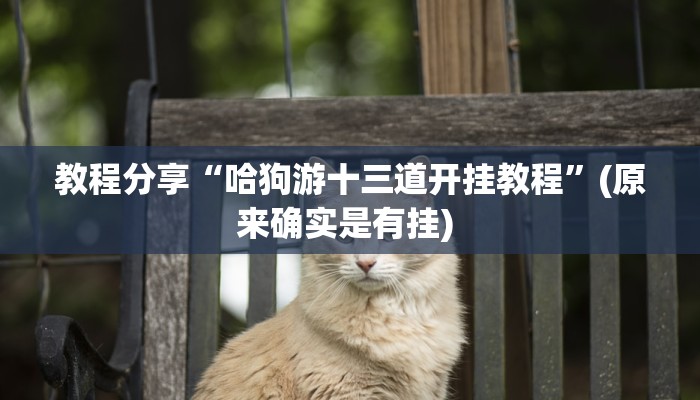 教程分享“哈狗游十三道开挂教程”(原来确实是有挂) 