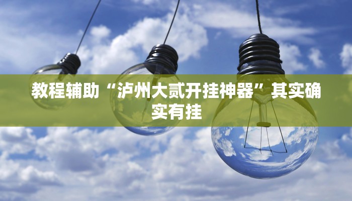 教程辅助“泸州大贰开挂神器”其实确实有挂