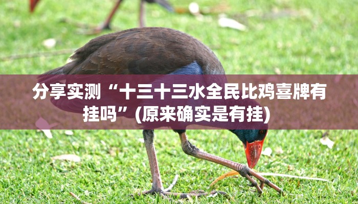 分享实测“十三十三水全民比鸡喜牌有挂吗”(原来确实是有挂) 