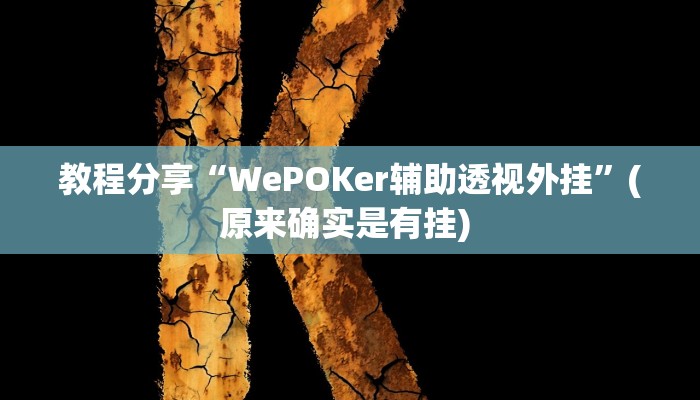 教程分享“WePOKer辅助透视外挂”(原来确实是有挂) 