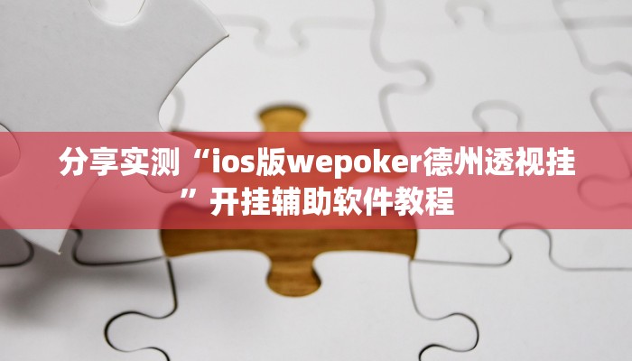 分享实测“ios版wepoker德州透视挂”开挂辅助软件教程