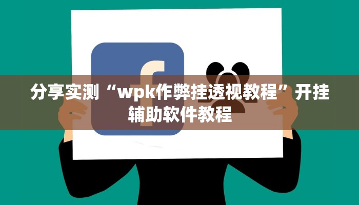 分享实测“wpk作弊挂透视教程”开挂辅助软件教程