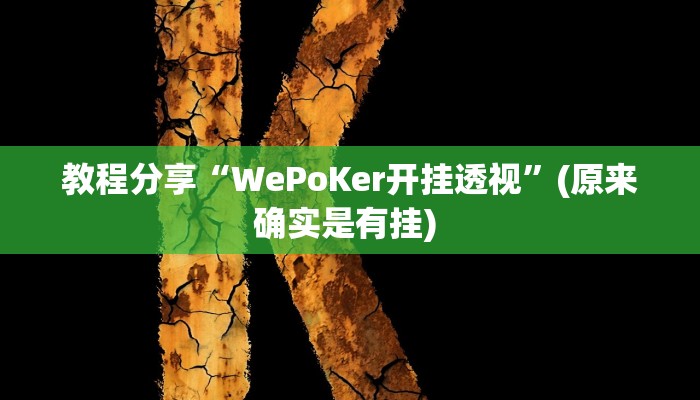 教程分享“WePoKer开挂透视”(原来确实是有挂) 