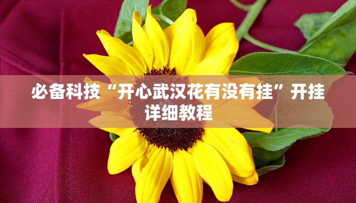 必备科技“开心武汉花有没有挂”开挂详细教程