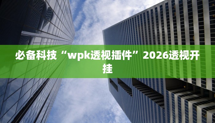 必备科技“wpk透视插件”2026透视开挂