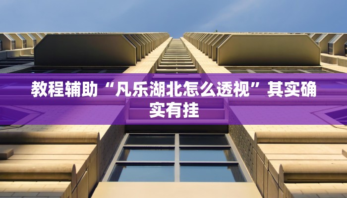 教程辅助“凡乐湖北怎么透视”其实确实有挂