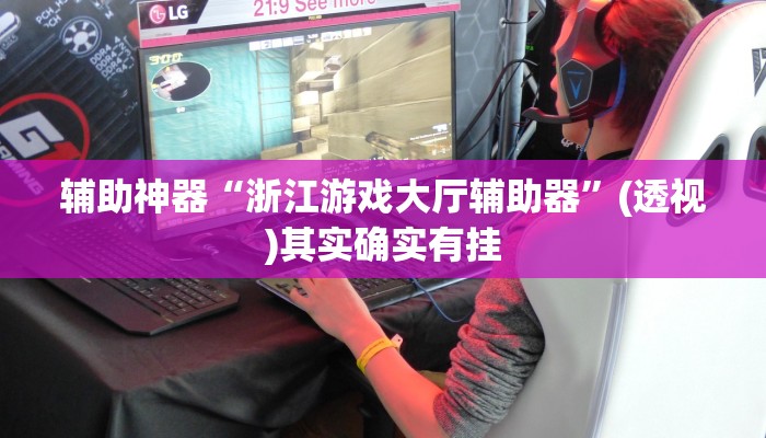 辅助神器“浙江游戏大厅辅助器”(透视)其实确实有挂