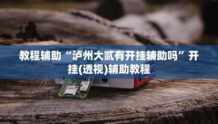 教程辅助“泸州大贰有开挂辅助吗”开挂(透视)辅助教程