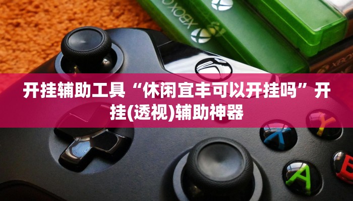 开挂辅助工具“休闲宜丰可以开挂吗”开挂(透视)辅助神器