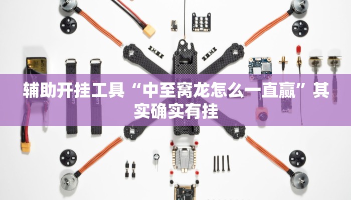 辅助开挂工具“中至窝龙怎么一直赢”其实确实有挂