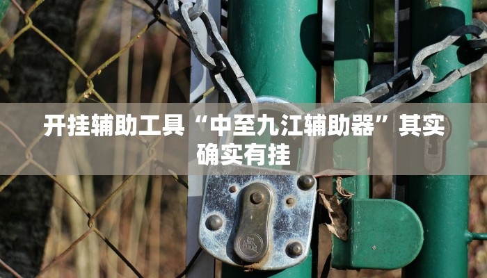 开挂辅助工具“中至九江辅助器”其实确实有挂