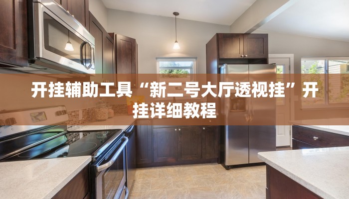 开挂辅助工具“新二号大厅透视挂”开挂详细教程 开挂辅助工具“新二号大厅透视挂”开挂详细教程