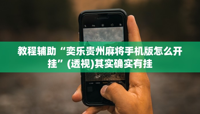 教程辅助“奕乐贵州麻将手机版怎么开挂”(透视)其实确实有挂 教程辅助“奕乐贵州麻将手机版怎么开挂”(透视)其实确实有挂