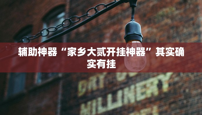 辅助神器“家乡大贰开挂神器”其实确实有挂
