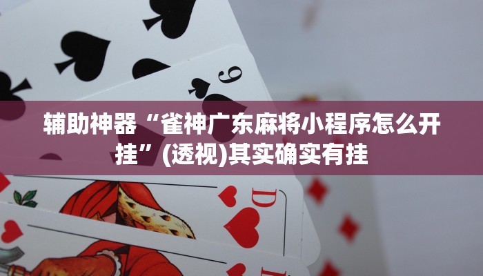 辅助神器“雀神广东麻将小程序怎么开挂”(透视)其实确实有挂 辅助神器“雀神广东麻将小程序怎么开挂”(透视)其实确实有挂