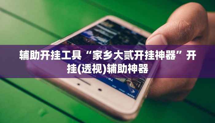 辅助开挂工具“家乡大贰开挂神器”开挂(透视)辅助神器 辅助开挂工具“家乡大贰开挂神器”开挂(透视)辅助神器