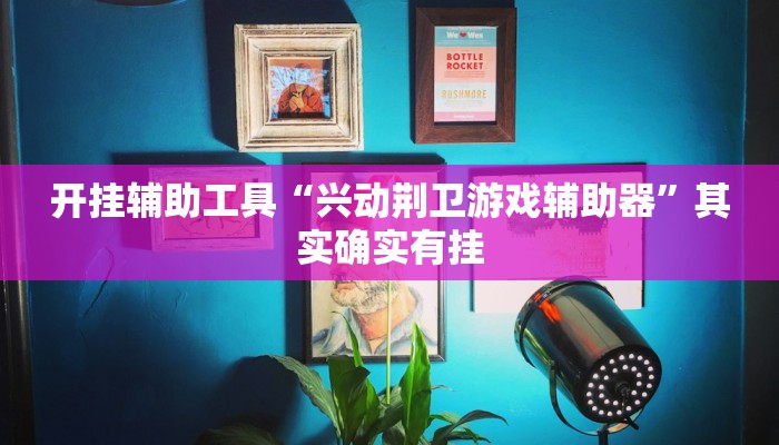 开挂辅助工具“兴动荆卫游戏辅助器”其实确实有挂