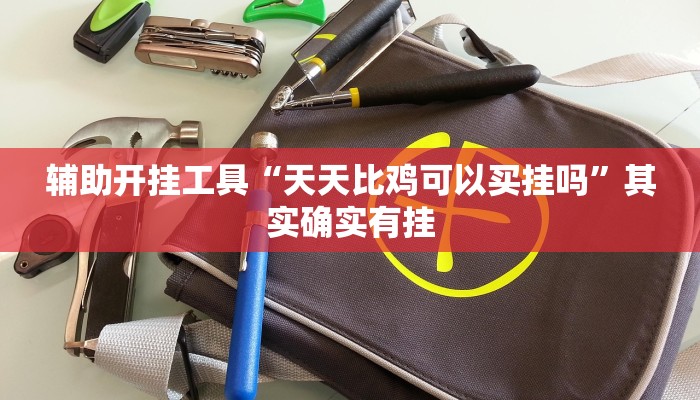 辅助开挂工具“天天比鸡可以买挂吗”其实确实有挂