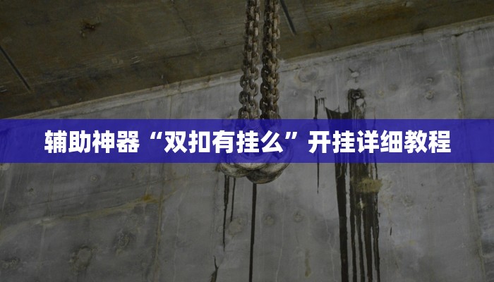 辅助神器“双扣有挂么”开挂详细教程