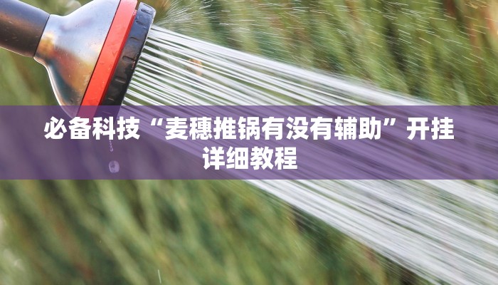 必备科技“麦穗推锅有没有辅助”开挂详细教程 必备科技“麦穗推锅有没有辅助”开挂详细教程