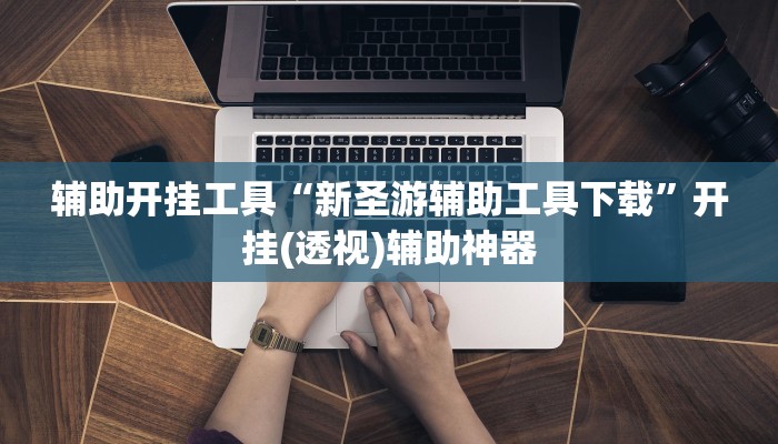 辅助开挂工具“新圣游辅助工具下载”开挂(透视)辅助神器 辅助开挂工具“新圣游辅助工具下载”开挂(透视)辅助神器