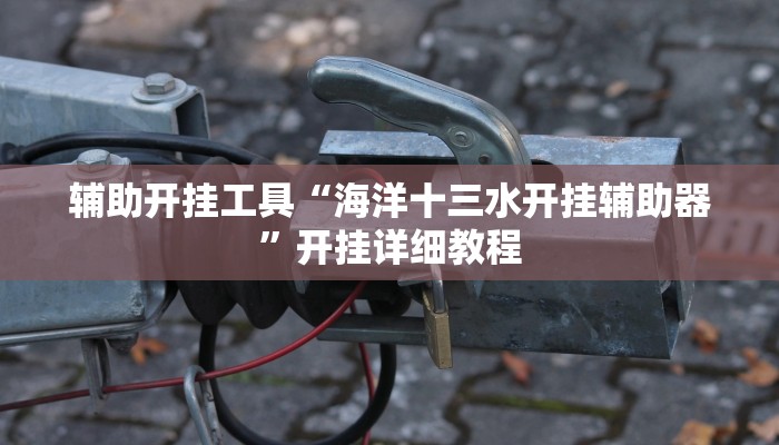 辅助开挂工具“海洋十三水开挂辅助器”开挂详细教程