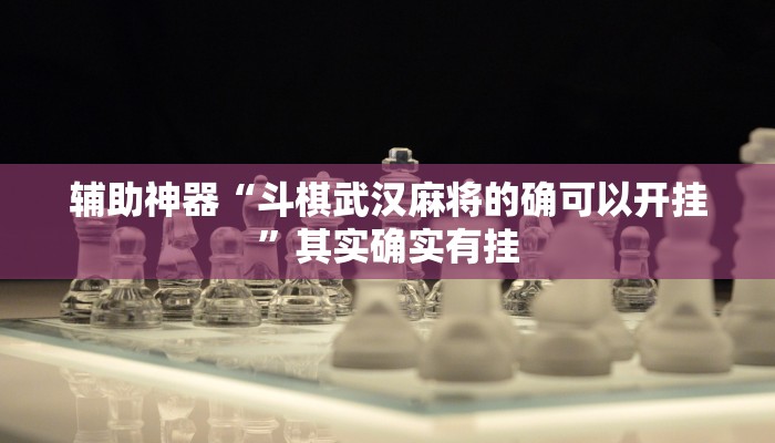 辅助神器“斗棋武汉麻将的确可以开挂”其实确实有挂