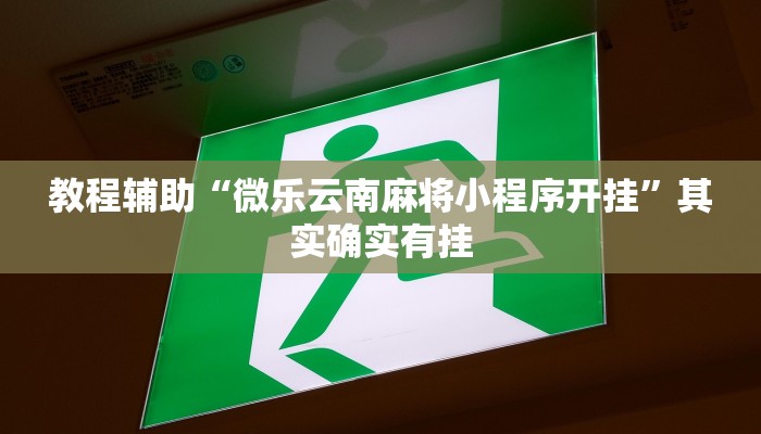 教程辅助“微乐云南麻将小程序开挂”其实确实有挂 教程辅助“微乐云南麻将小程序开挂”其实确实有挂