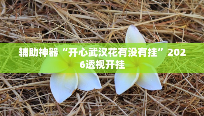 辅助神器“开心武汉花有没有挂”2026透视开挂 辅助神器“开心武汉花有没有挂”2026透视开挂