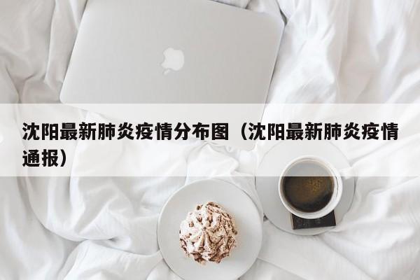 沈阳最新肺炎疫情分布图(沈阳最新肺炎疫情通报)