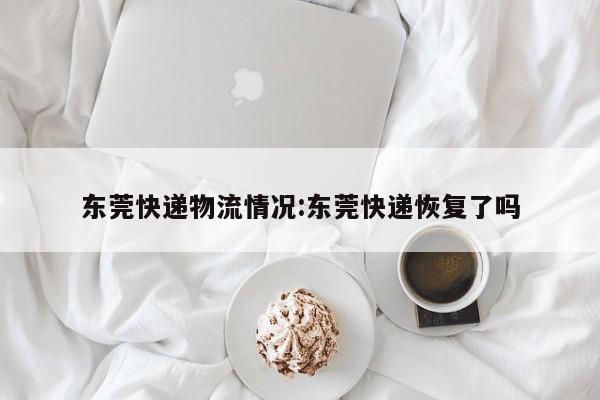 东莞快递物流情况:东莞快递恢复了吗